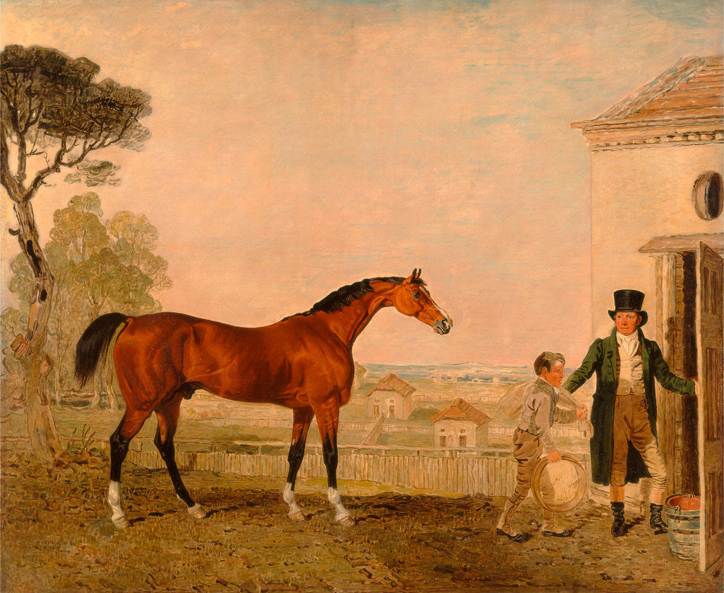 Detail of Sultan' at the Marquess of Exeter's Stud, Burghley House by Lambert Marshall