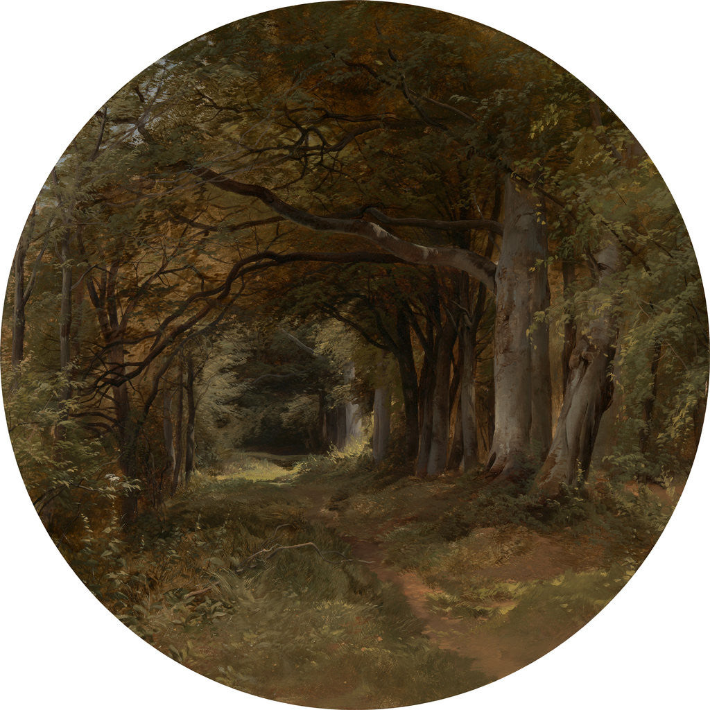 Detail of Landscape Gunton Park - A Beech Glade by John Middleton