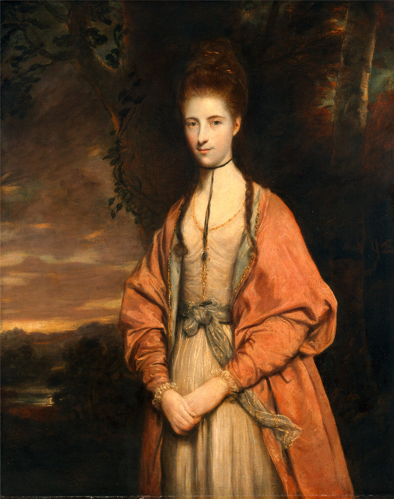 Detail of Anne Seymour Damer Hon. Mrs. Seymour Damer by Sir Joshua Reynolds