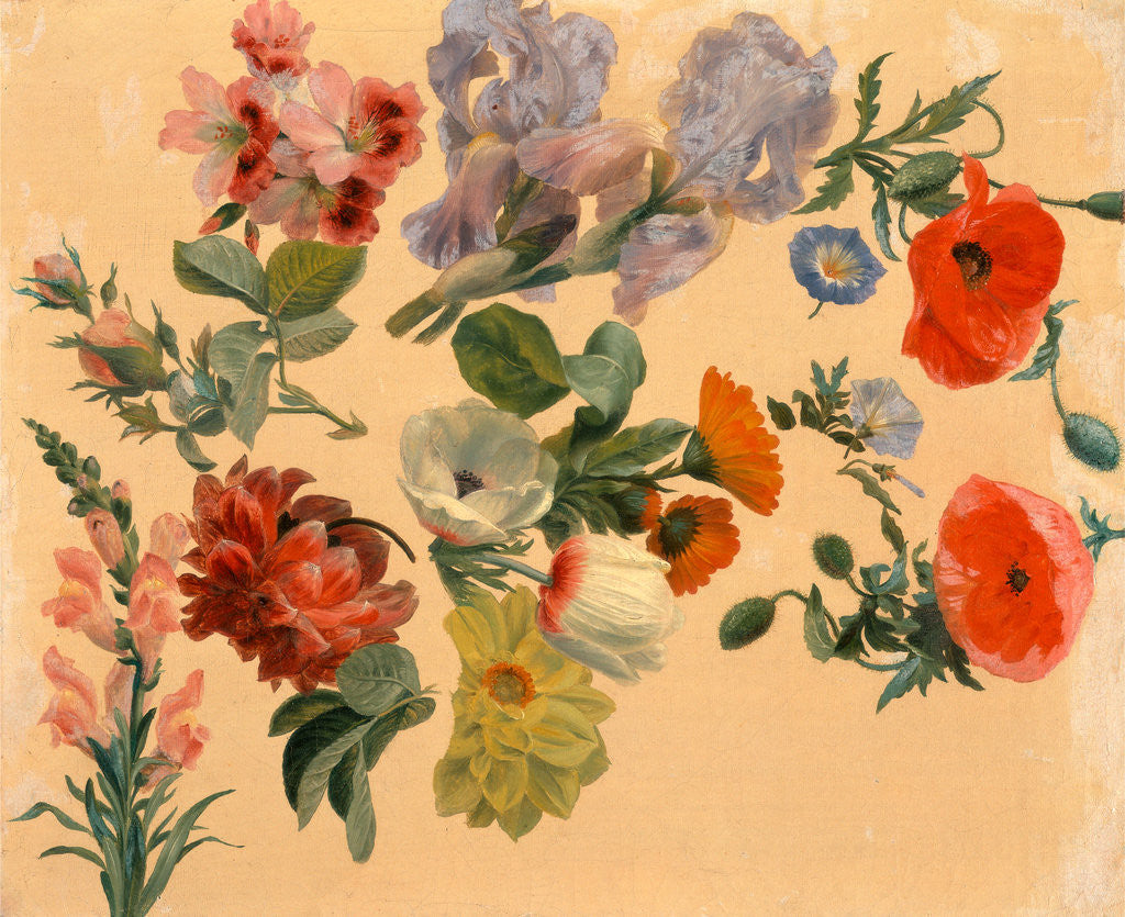 Detail of Studies of Summer Flowers by Jacques-Laurent Agasse