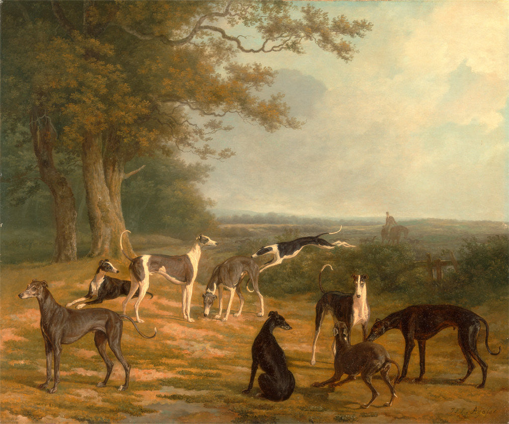 Detail of Nine Greyhounds in a Landscape by Jacques-Laurent Agasse