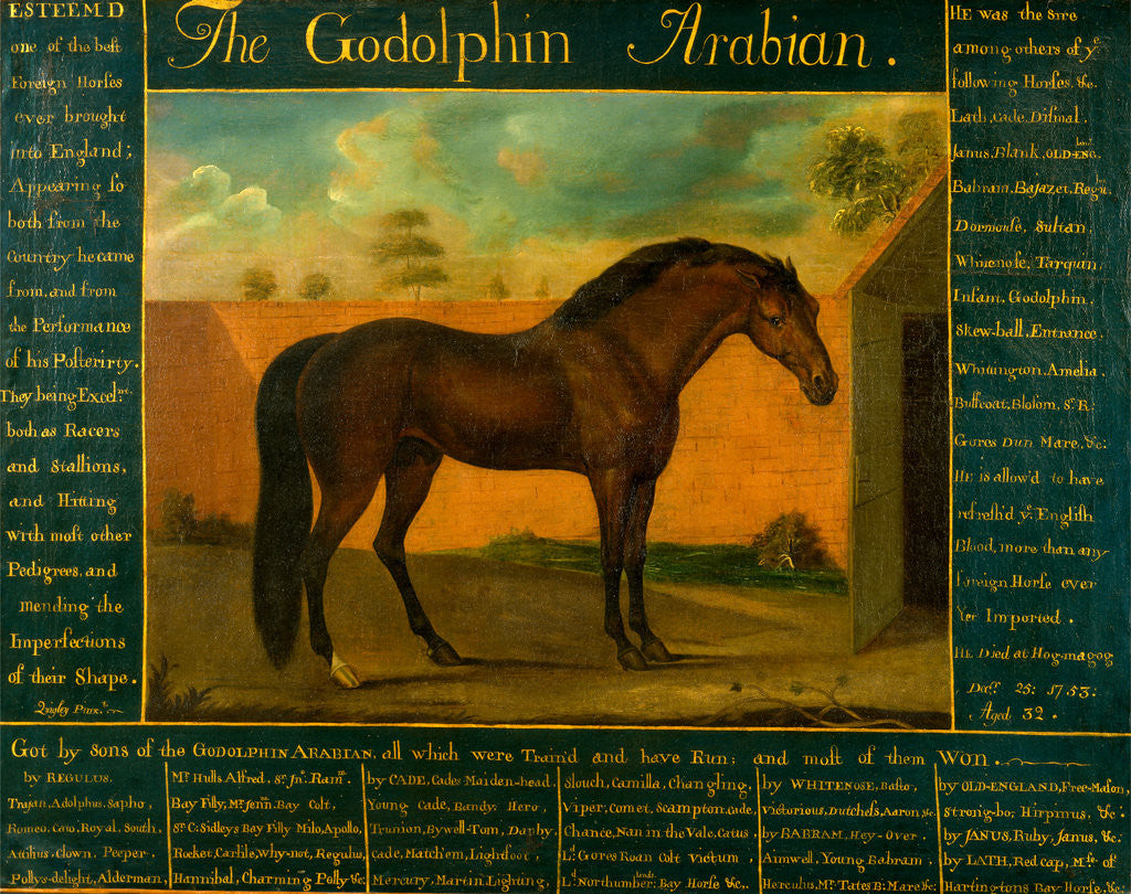 Detail of The Godolphin Arabian by Daniel Quigley