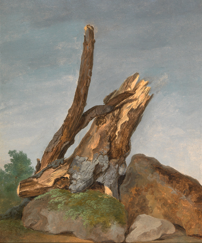 Detail of Study of Rocks and Branches by George Augustus Wallis