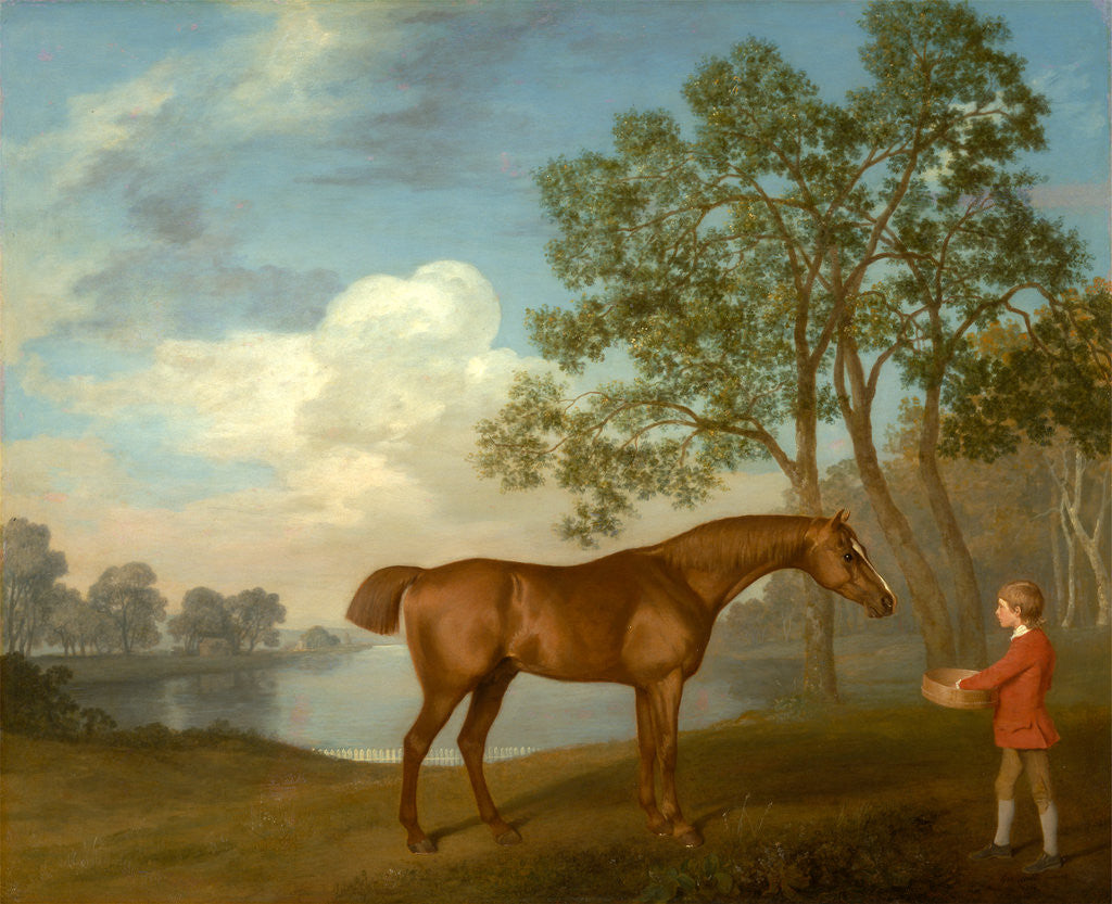 Detail of Pumpkin with a Stable-lad by George Stubbs