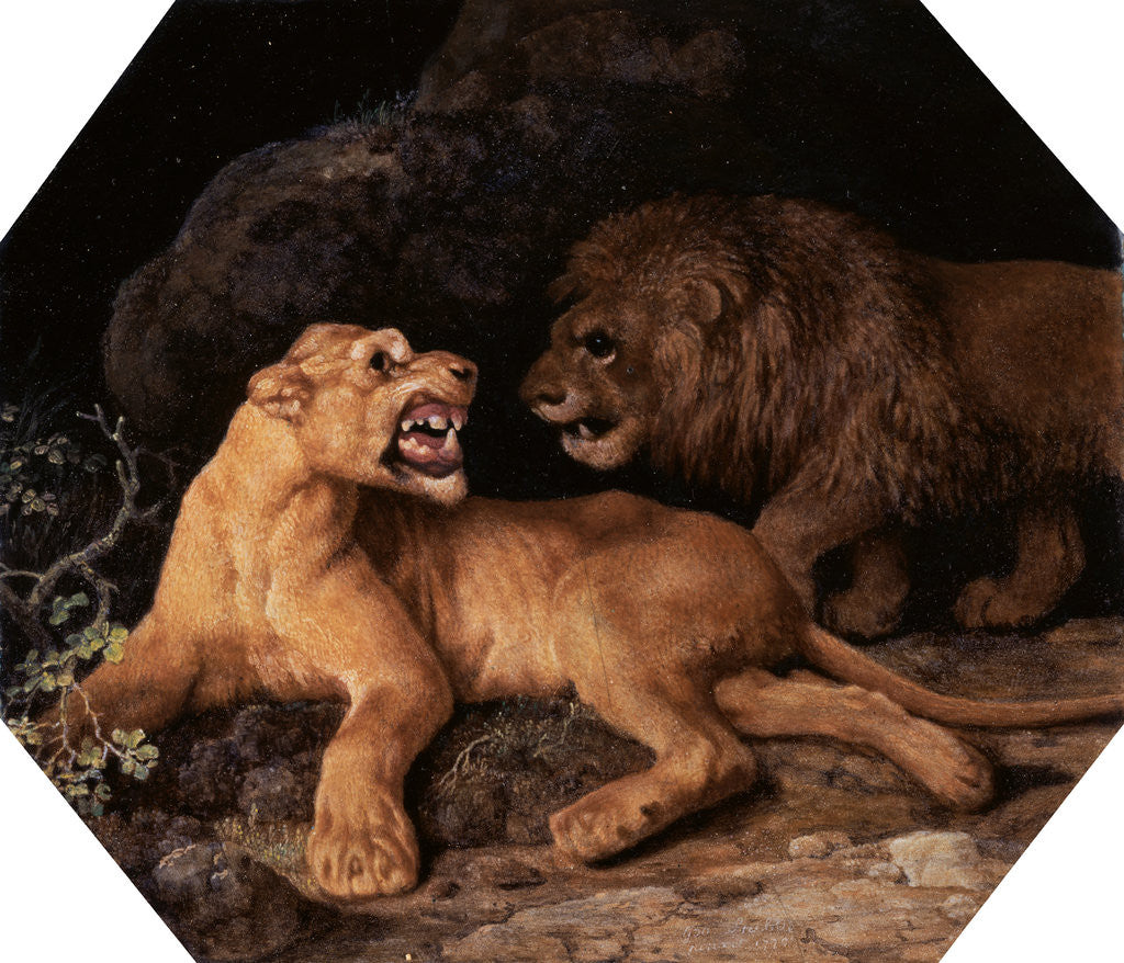 Detail of Lion and Lioness by George Stubbs