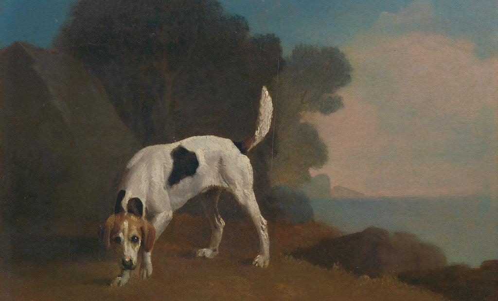 Detail of Foxhound Foxhound on the Scent by George Stubbs