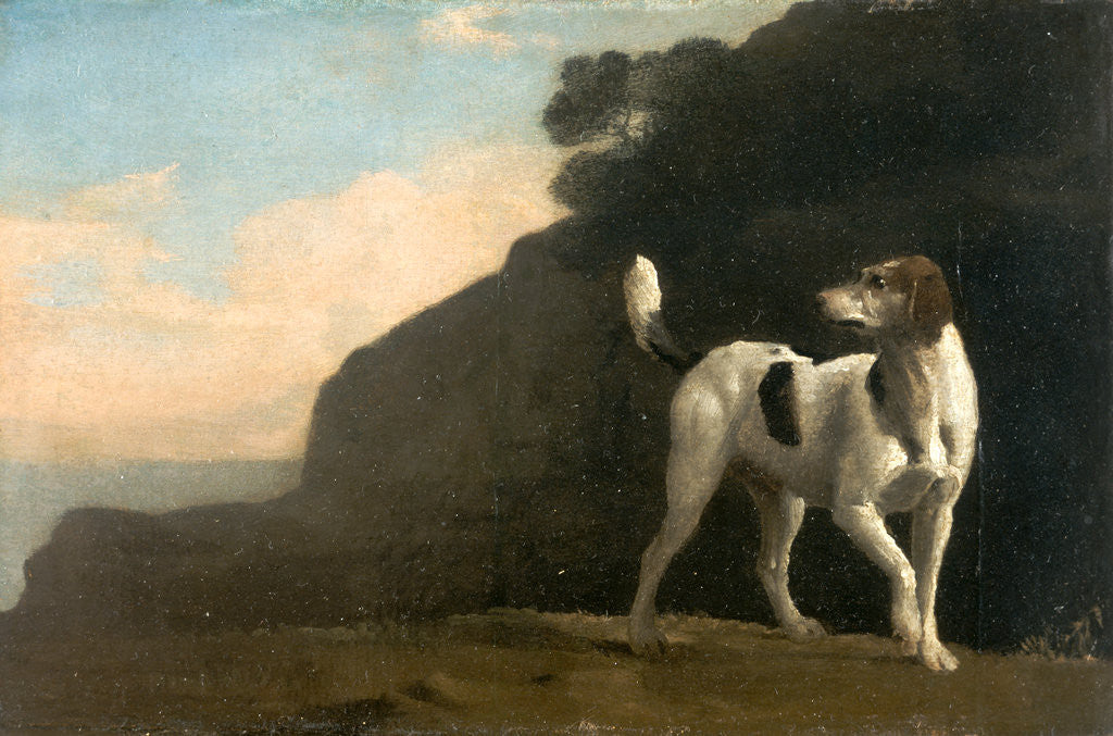 Detail of Foxhound A Foxhound by George Stubbs
