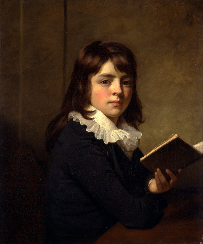 Detail of Portrait of a Boy An Unknown Boy by Sir William Beechey