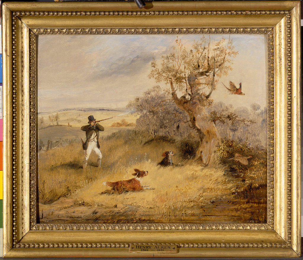 Detail of Pheasant Shooting by Henry Thomas Alken