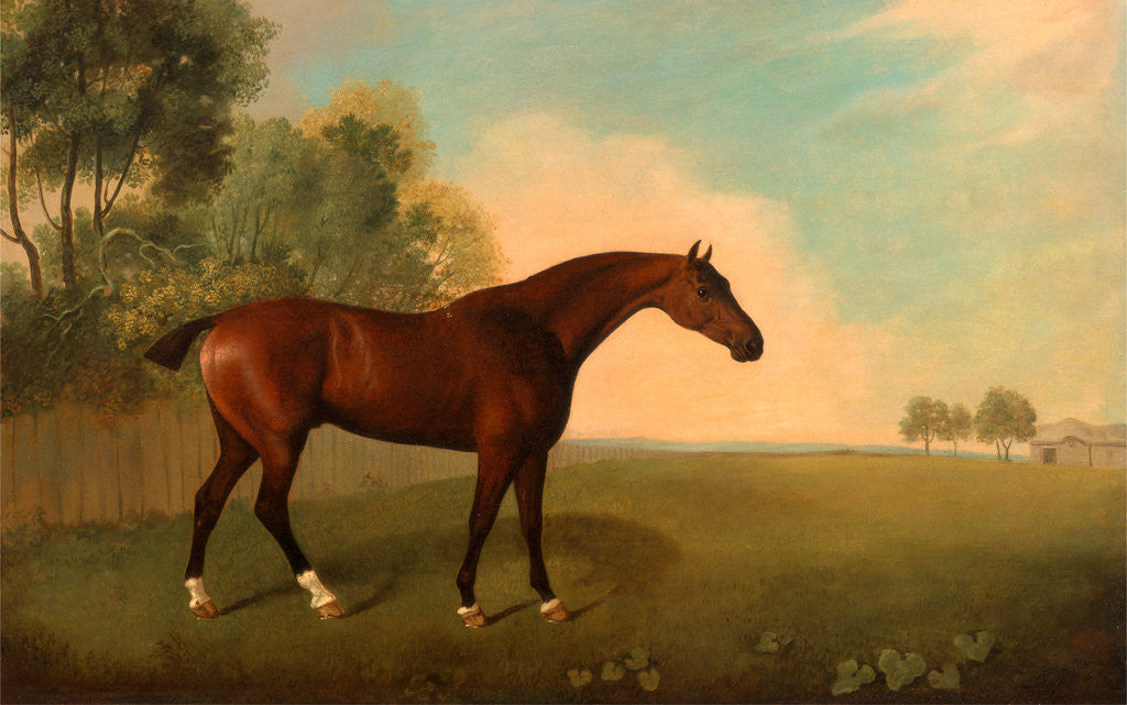 Detail of A Bay Horse in a Field Horse in a Landscape by John Boultbee