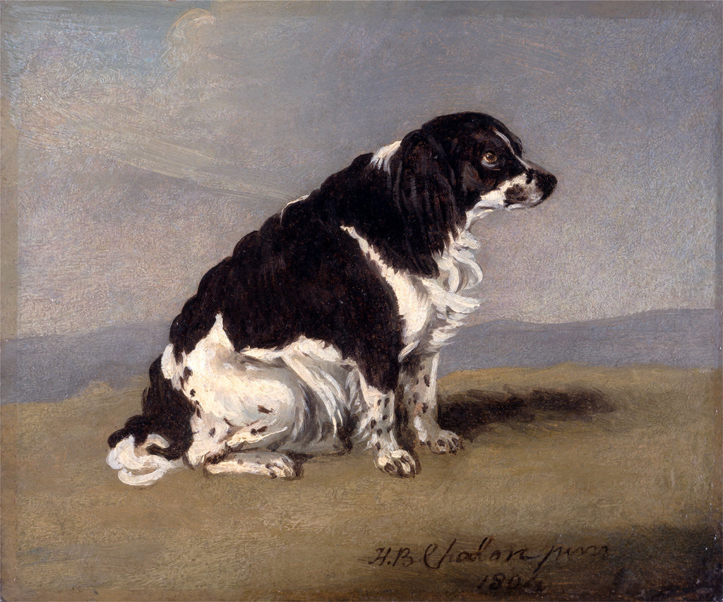 Detail of The Duchess of York's Spaniel by Henry Bernard Chalon