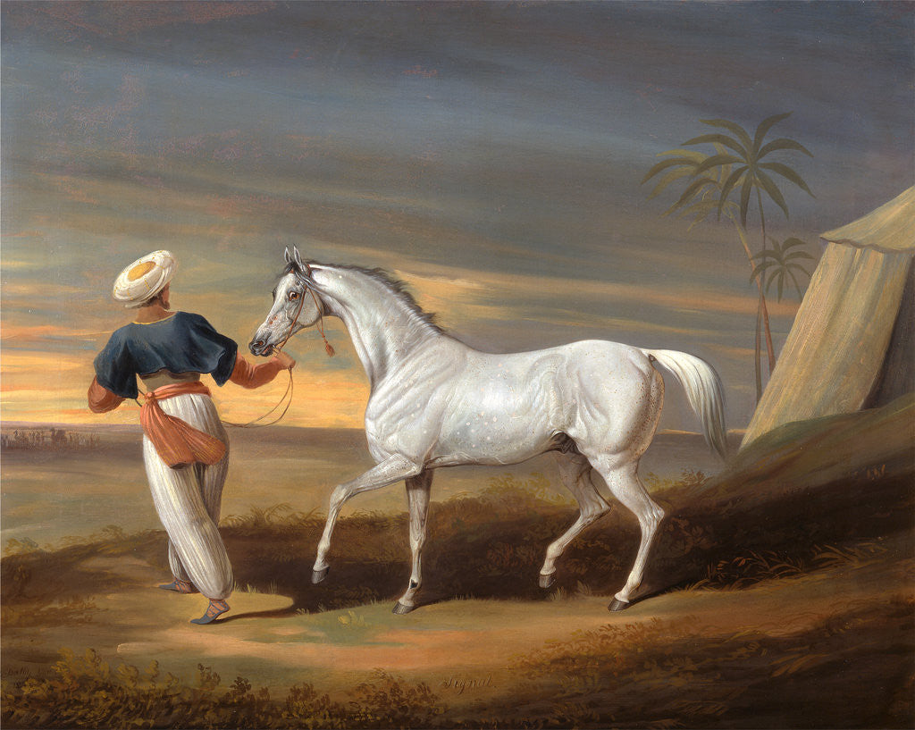 Detail of Signal, a Grey Arab, with a Groom in the Desert by David Dalby of York