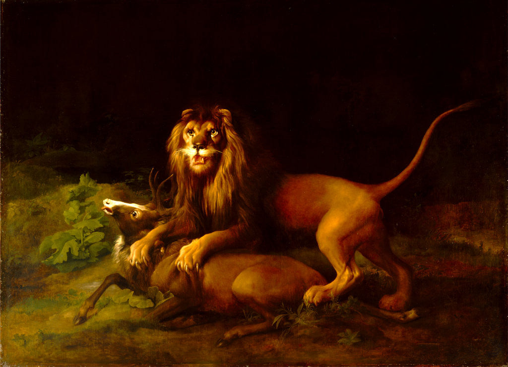 Detail of A Lion Attacking a Stag Lion devouring a stag by George Stubbs