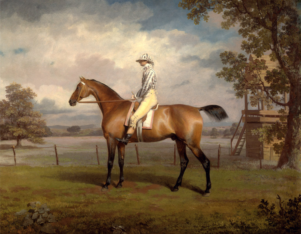 Detail of Portrait of a Racehorse, Possibly Disguise by George Garrard