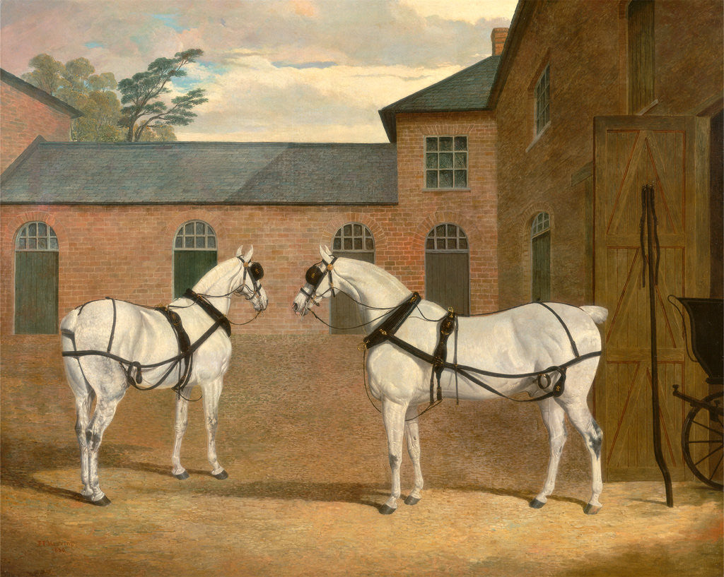 Detail of Grey carriage horses in the coachyard at Putteridge Bury by John Frederick Herring