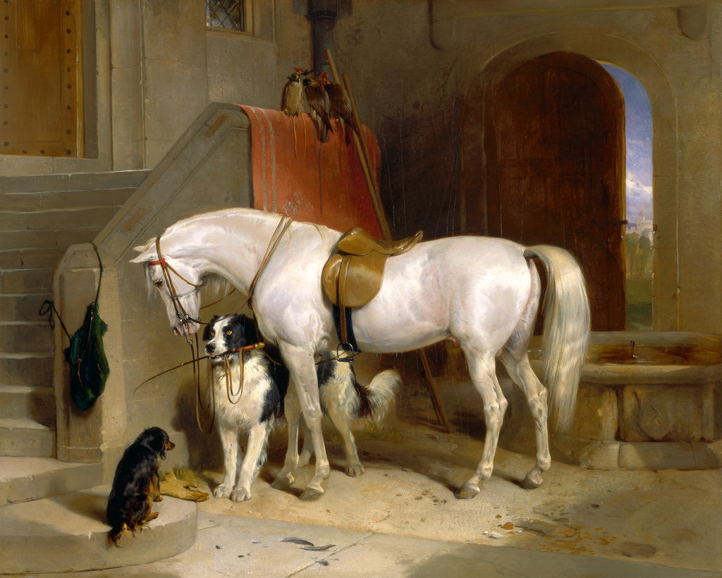 Detail of Favourites, the Property of H.R.H. Prince George of Cambridge by Sir Edwin Henry Landseer