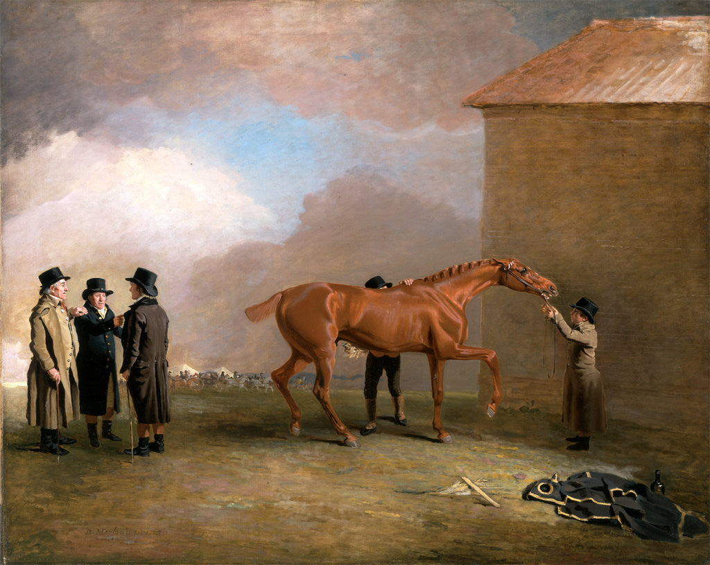 Detail of Muly Moloch being rubbed down at Newmarket by Benjamin Marshall