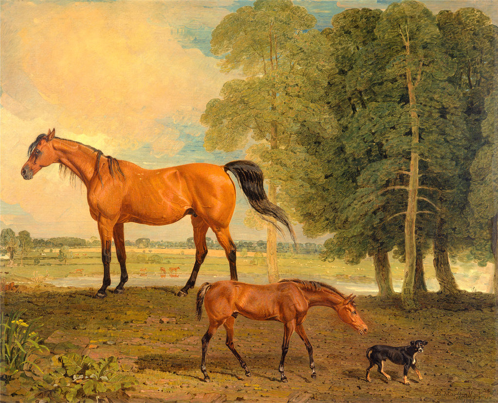 Detail of Broodmare with Foal, and a Terrier by Benjamin Marshall