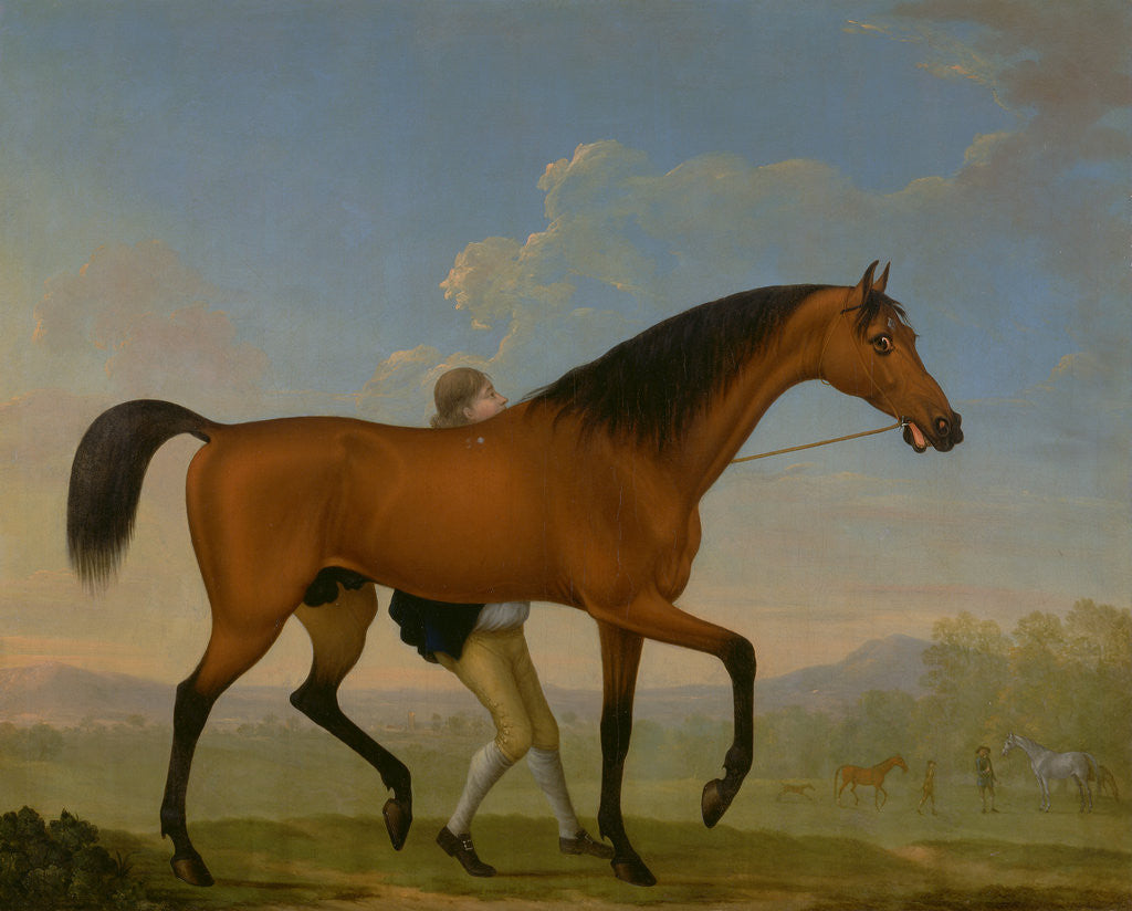 Detail of The Duke of Ancaster's Bay Stallion, Blank, Walking Towards a Mare King Herod by William Shaw