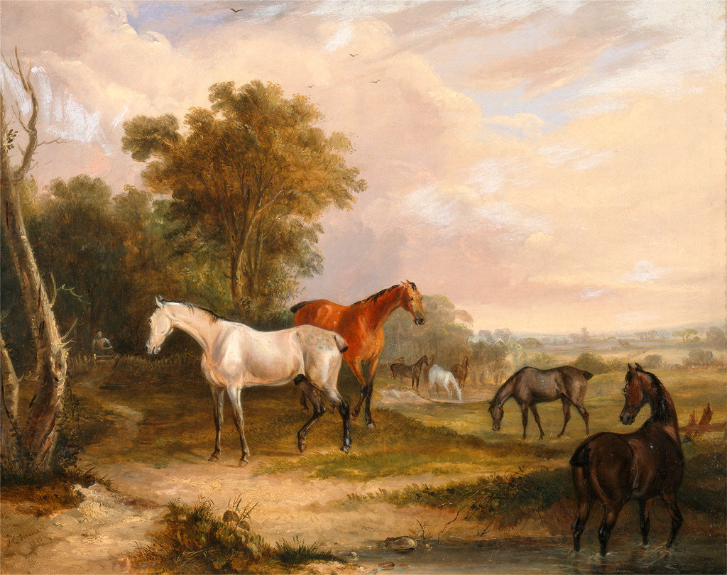 Detail of Horses Grazing: a Grey Stallion Grazing with Mares in a Meadow by Calcraft Turner