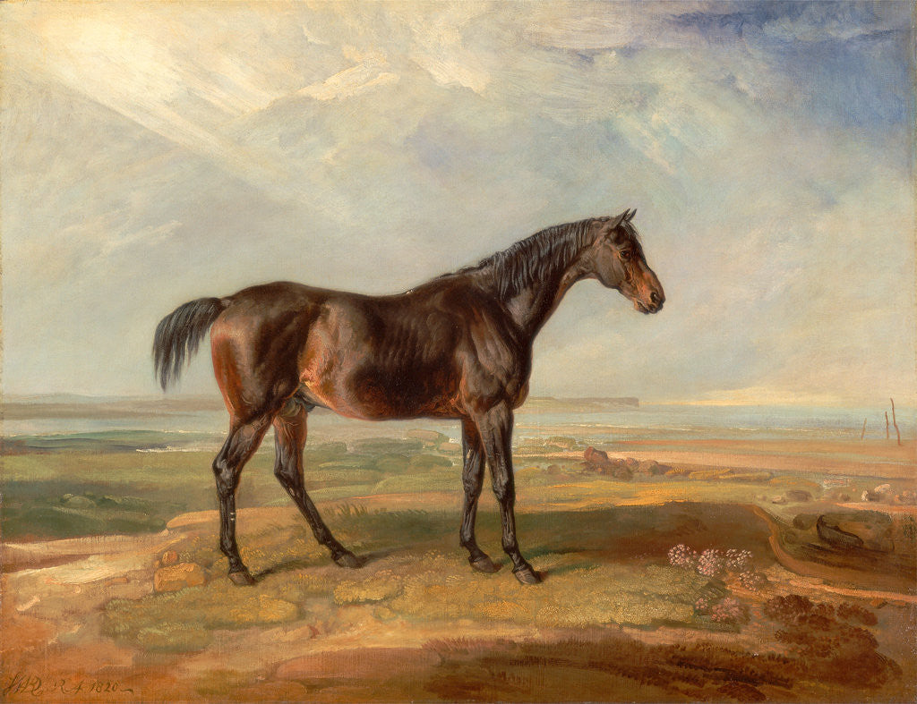 Detail of Dr. Syntax, a Bay Racehorse, Standing in a Coastal Landscape, an Estuary Beyond by James Ward