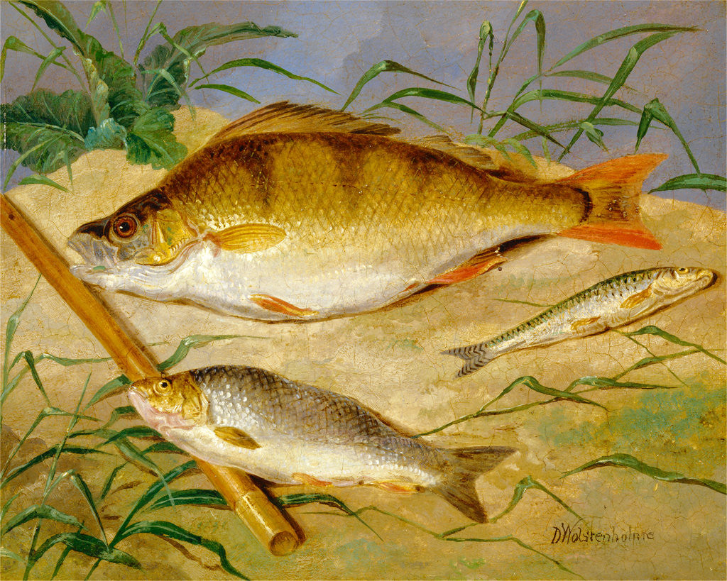 Detail of An Angler's Catch of Coarse Fish The Angler's Trophies by Dean Wolstenholme