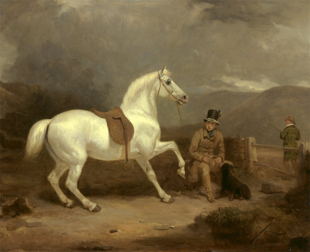 Detail of Grey Shooting Pony, Probably the Property of Johnston King by Thomas Woodward