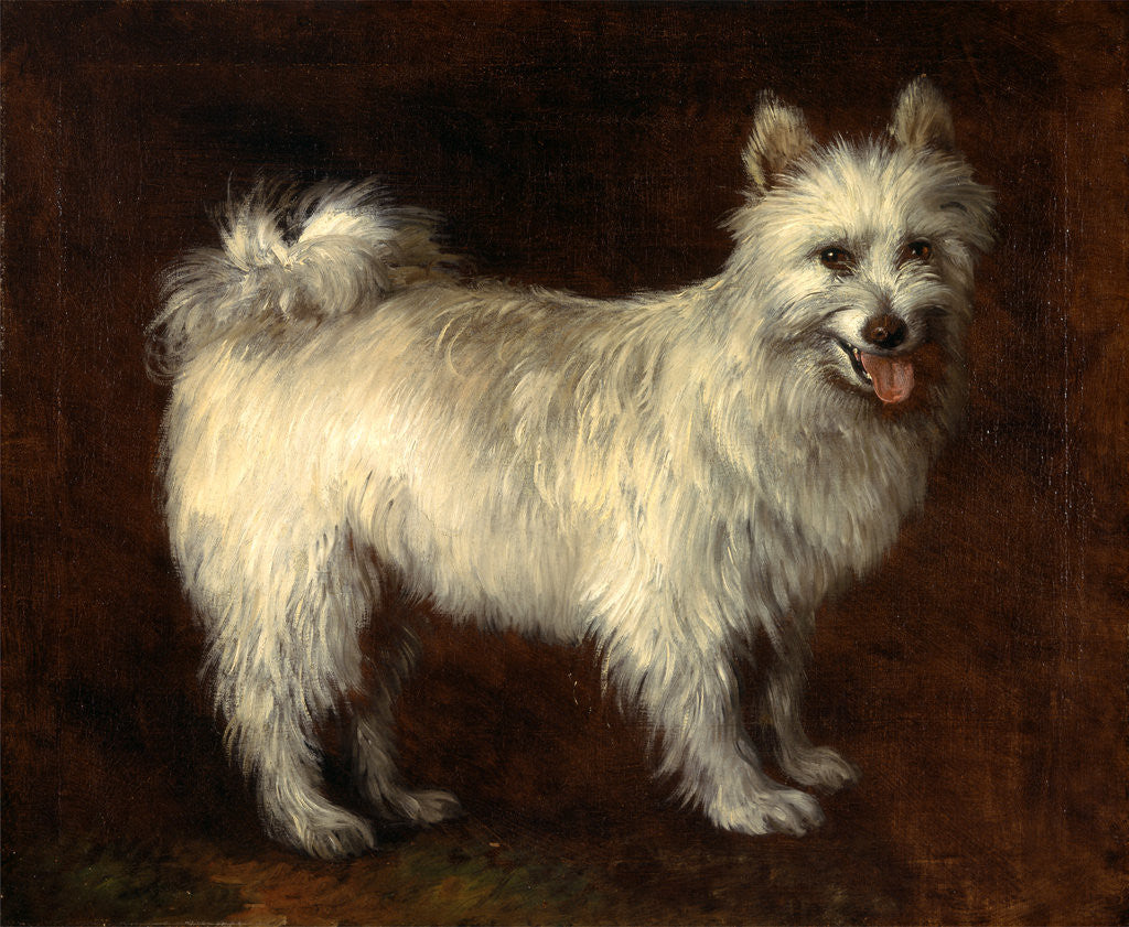 Detail of Spitz Dog A Dog by Thomas Gainsborough