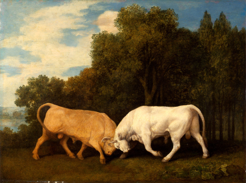 Detail of Bulls Fighting by George Stubbs