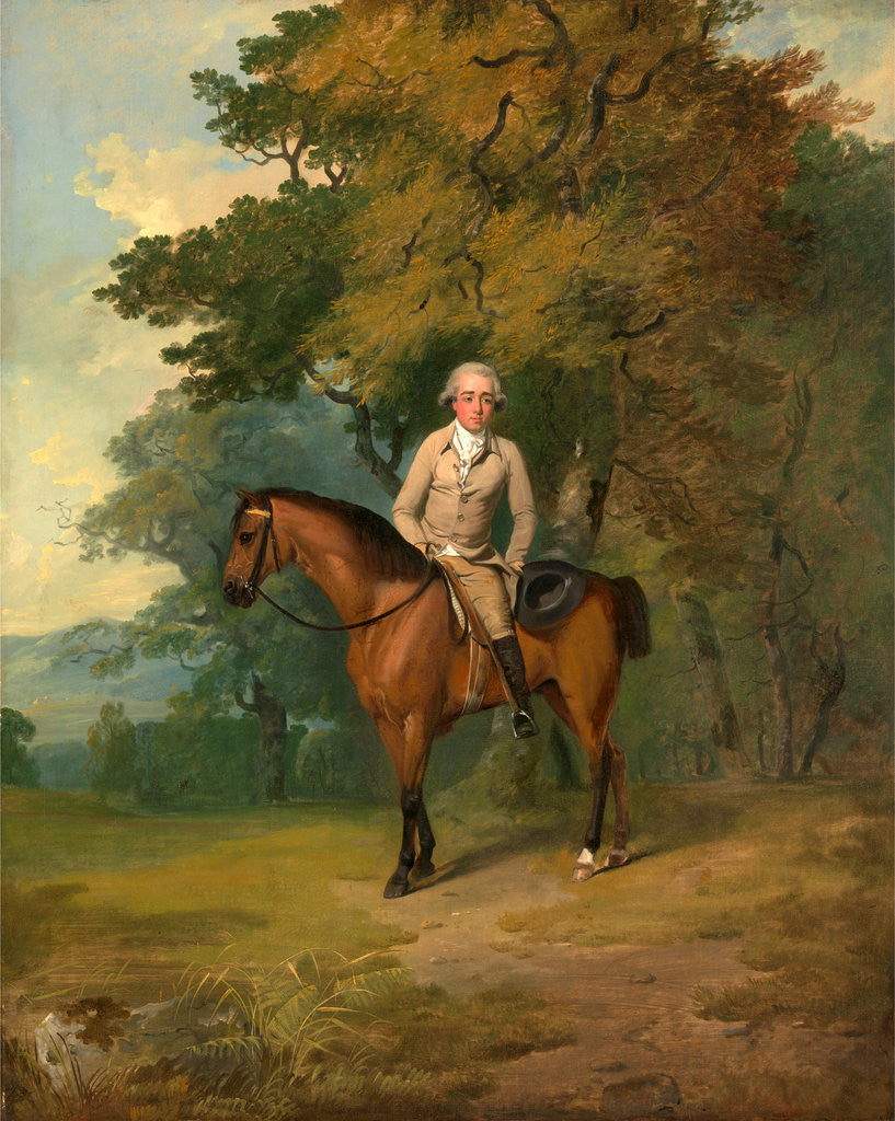 Detail of Henry Addington, Later 1st Viscount Sidmouth by Francis Wheatley