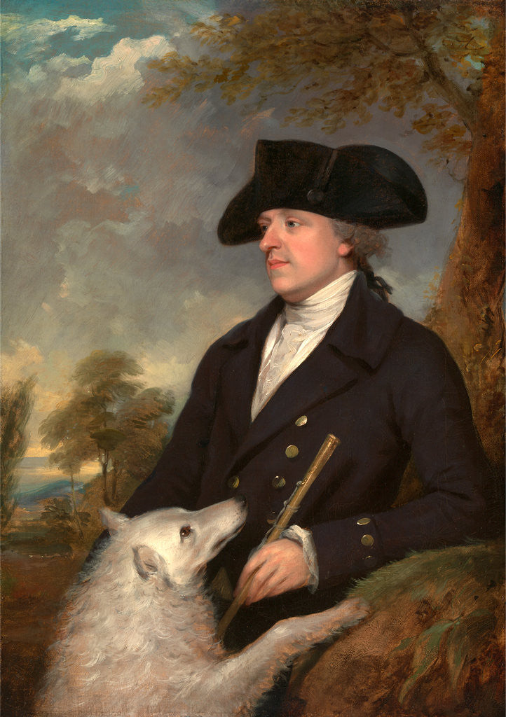 Detail of Captain Stevens by Francis Wheatley