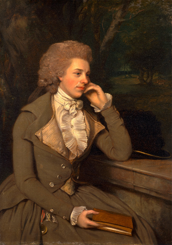 Detail of Mrs. Stevens by Francis Wheatley