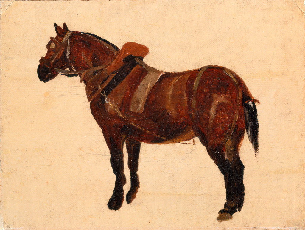 Detail of Study of a Working Horse by Thomas Sidney Cooper