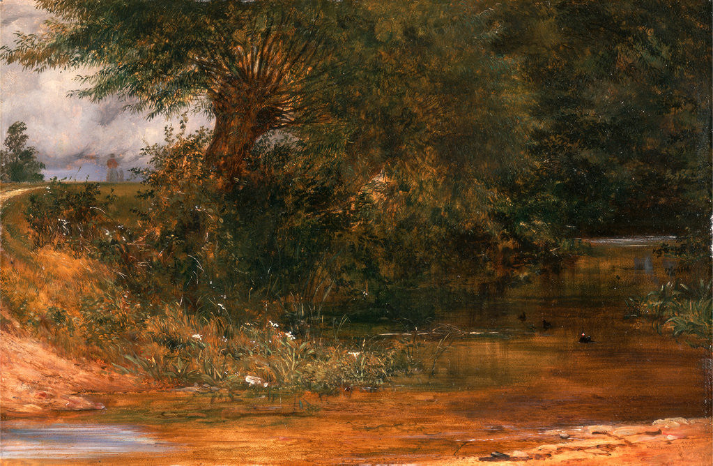 Detail of The Moorhen's Haunt by Richard Redgrave