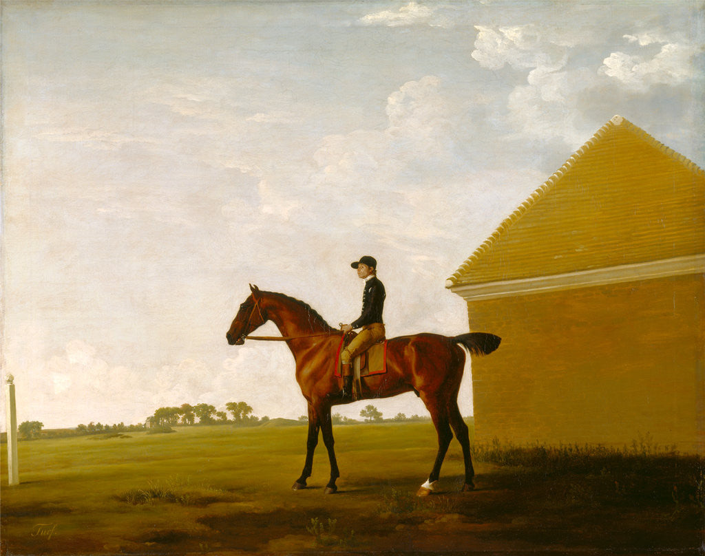 Detail of Turf, with Jockey up, at Newmarket by George Stubbs
