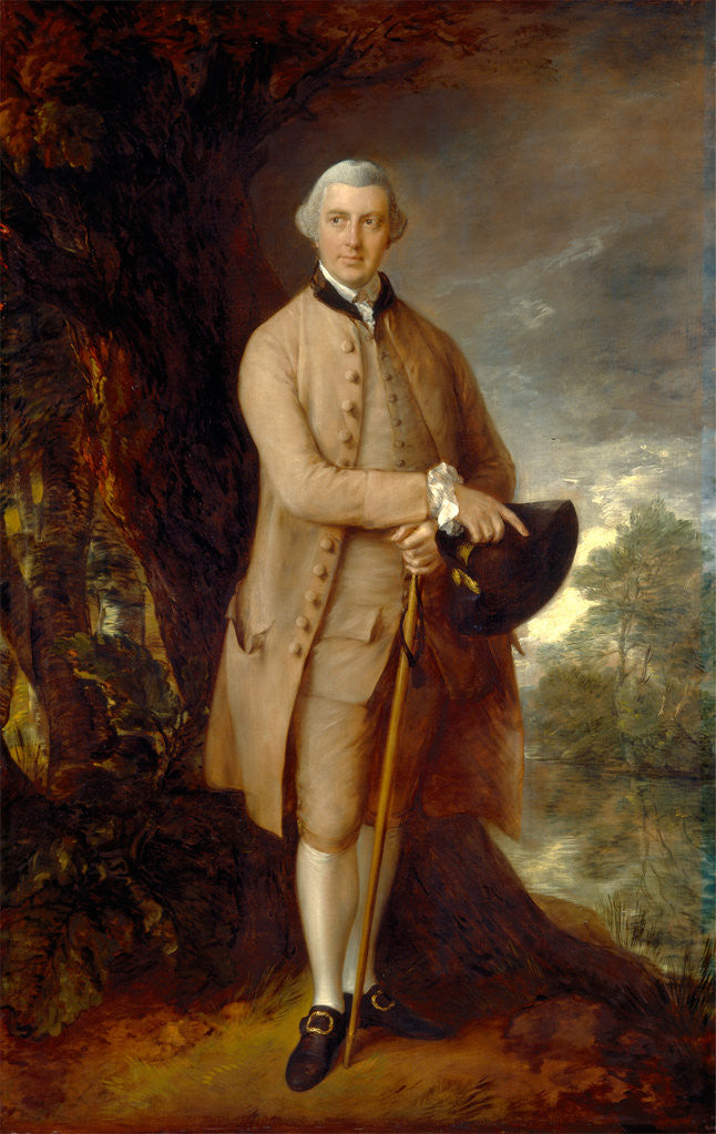 Detail of William Johnstone-Pulteney, Later 5th Baronet by Thomas Gainsborough