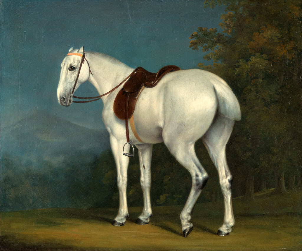 Detail of A Lady's Grey Hunter by Jacques-Laurent Agasse