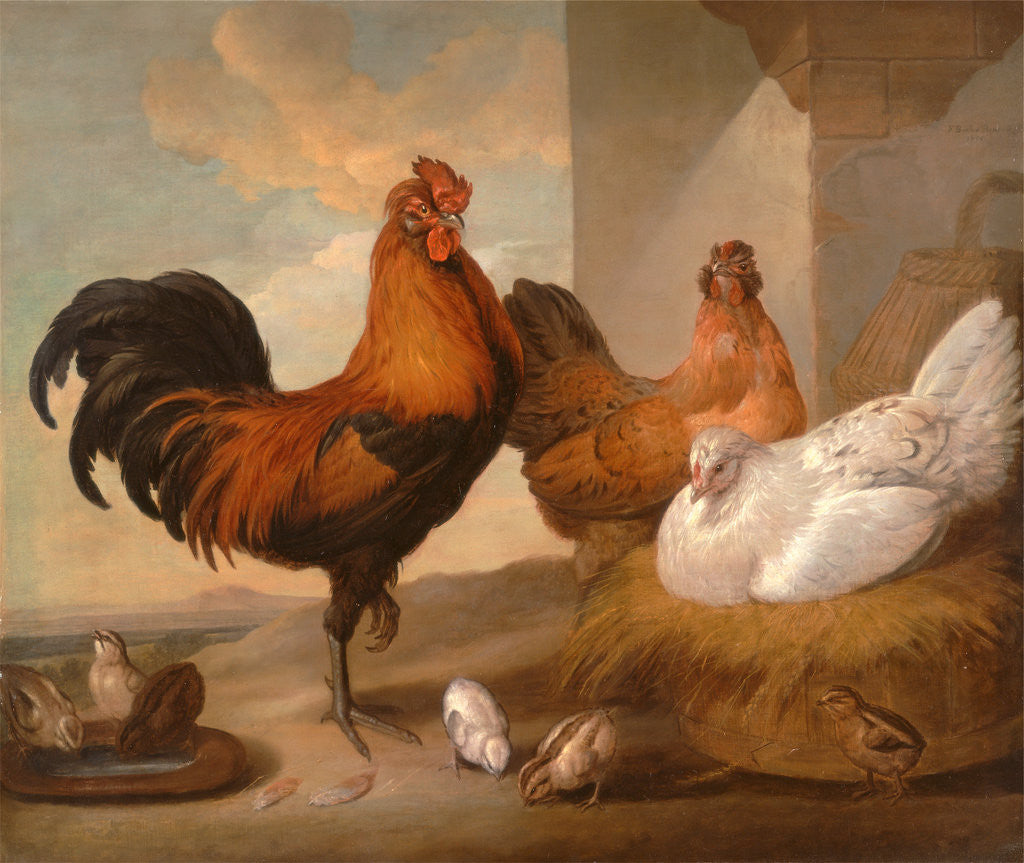 Detail of Domestic Cock, Hens, and Chicks by Francis Barlow
