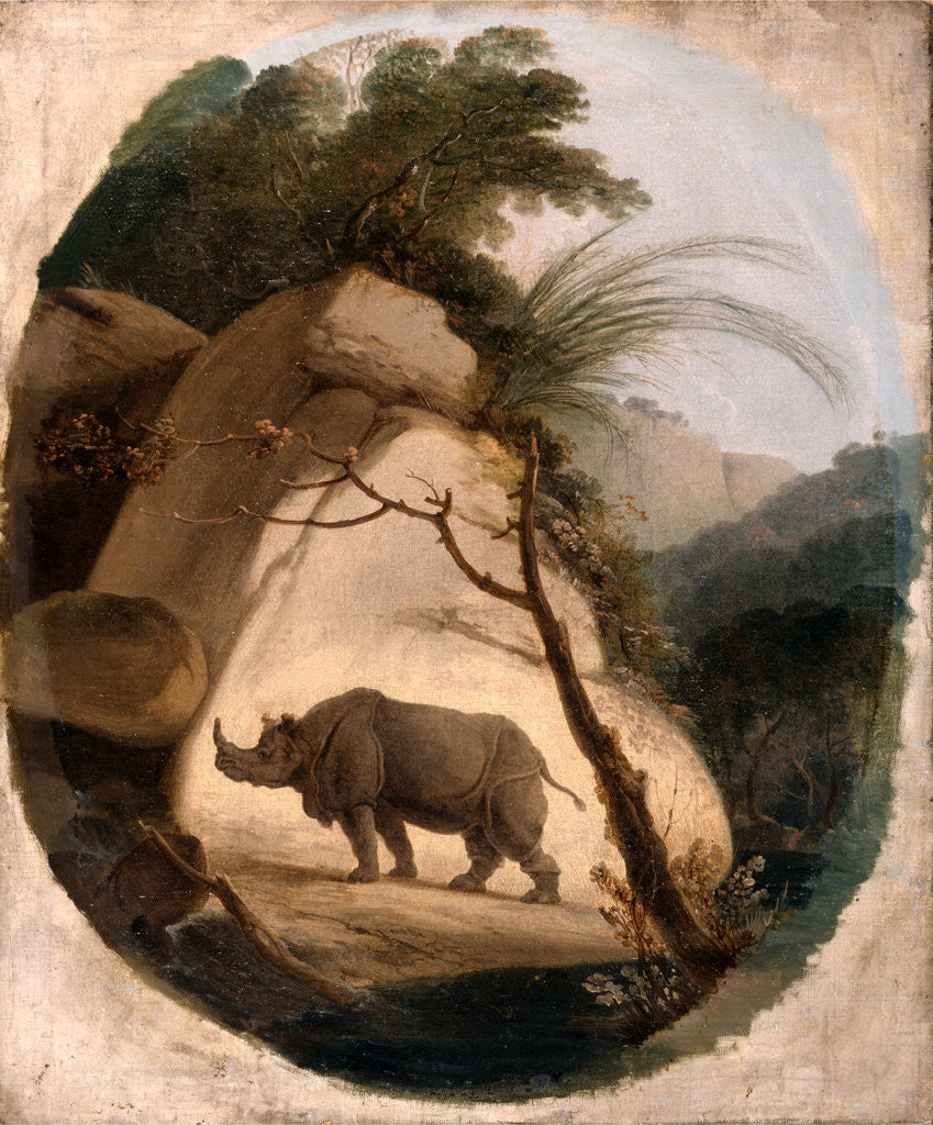 Detail of The Indian Rhinoceros by Thomas Daniell