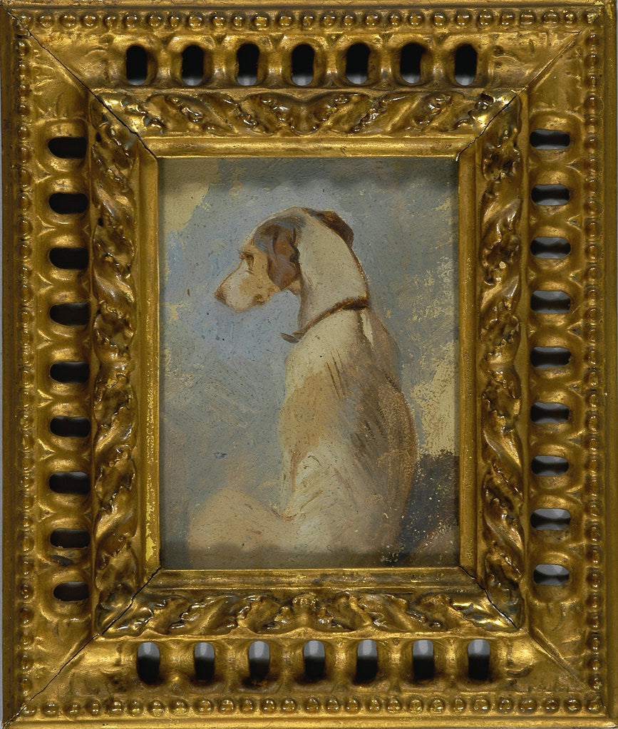 Detail of Study of a Greyhound by Sir Edwin Henry Landseer