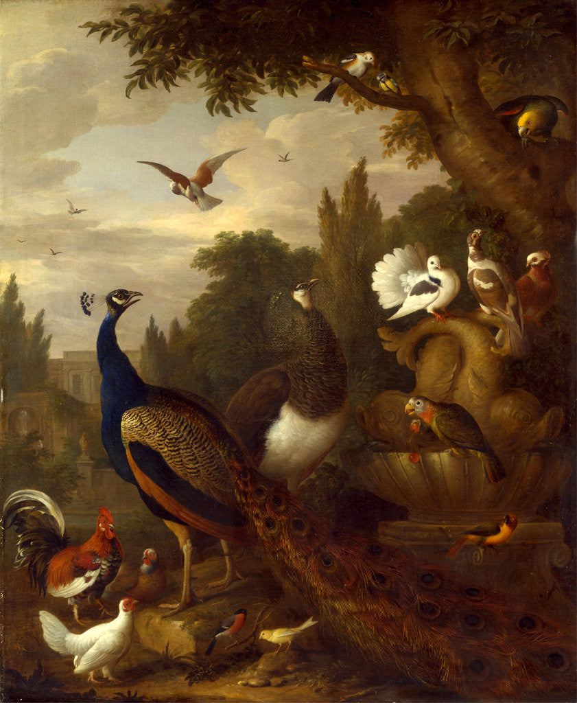 Detail of Peacock, peahen, parrots, canary, and other birds in a park by Jacob Bogdani
