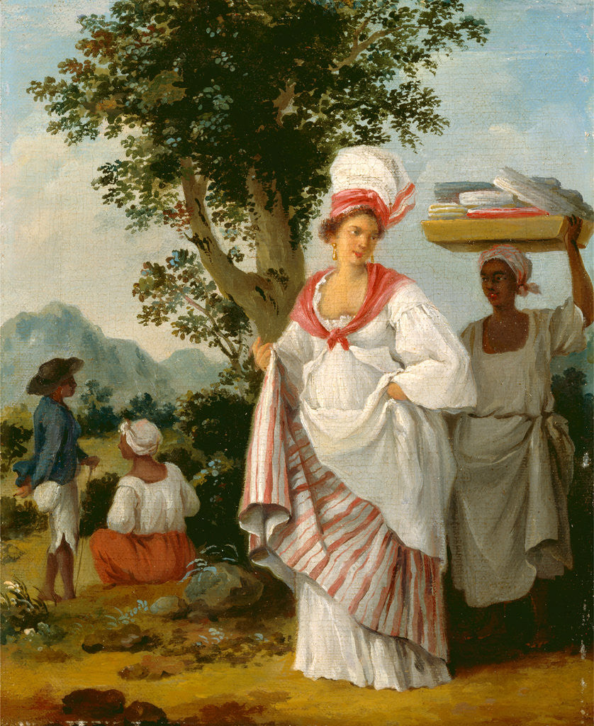 Detail of West Indian Creole woman, with her Black Servant by Agostino Brunias