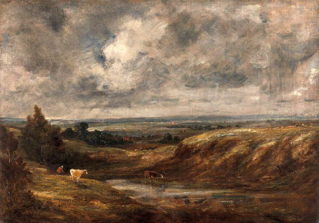 Detail of Hampstead Heath by John Constable