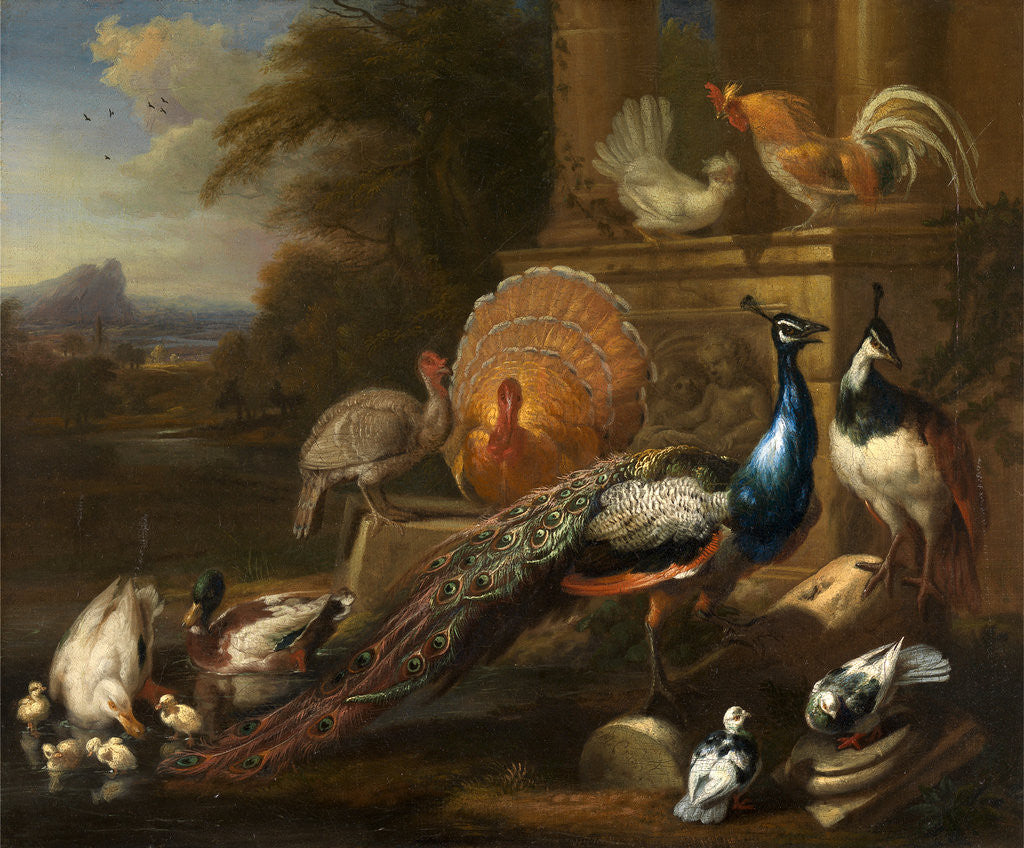 Detail of Peacocks, Doves, Turkeys, Chickens and Ducks by a Classical Ruin by Marmaduke Cradock