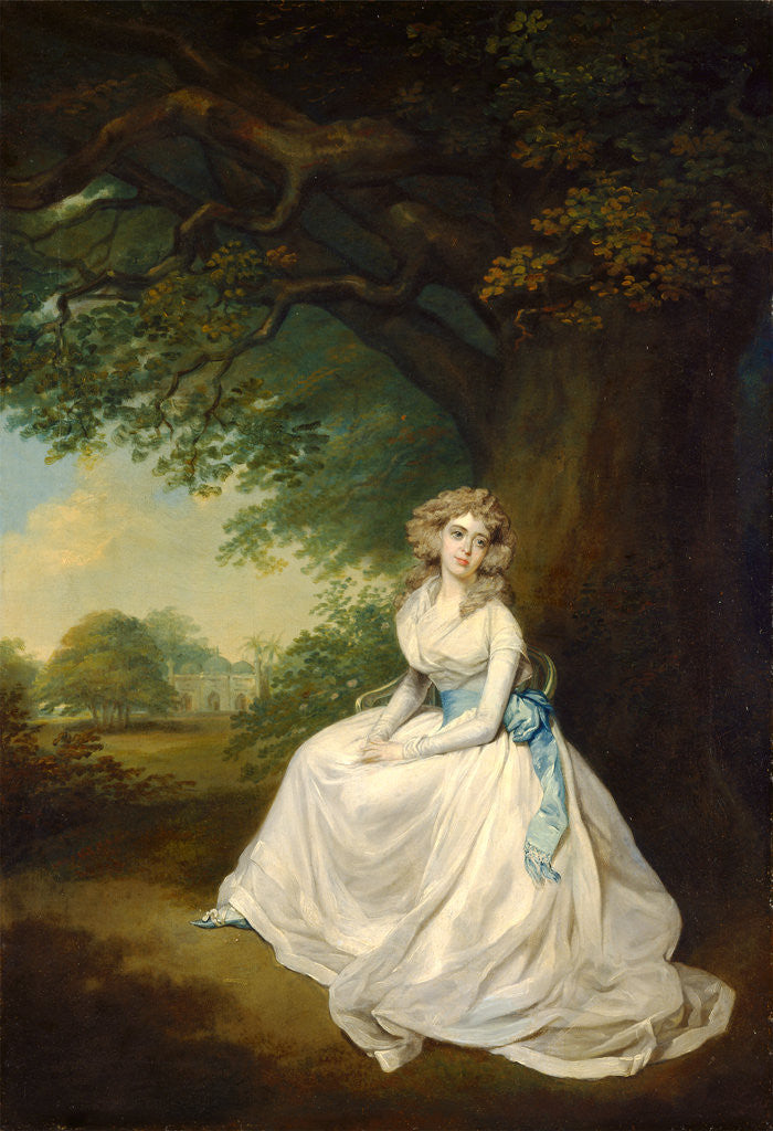 Detail of Lady Chambers by Arthur William Devis