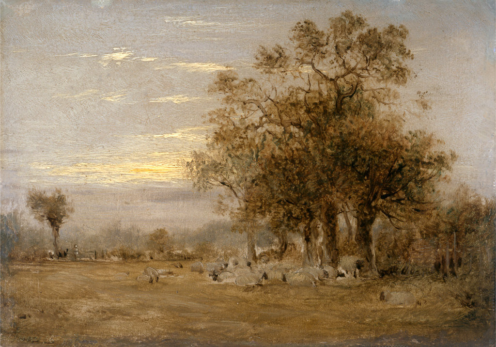 Detail of Sheep Grazing by John Linnell