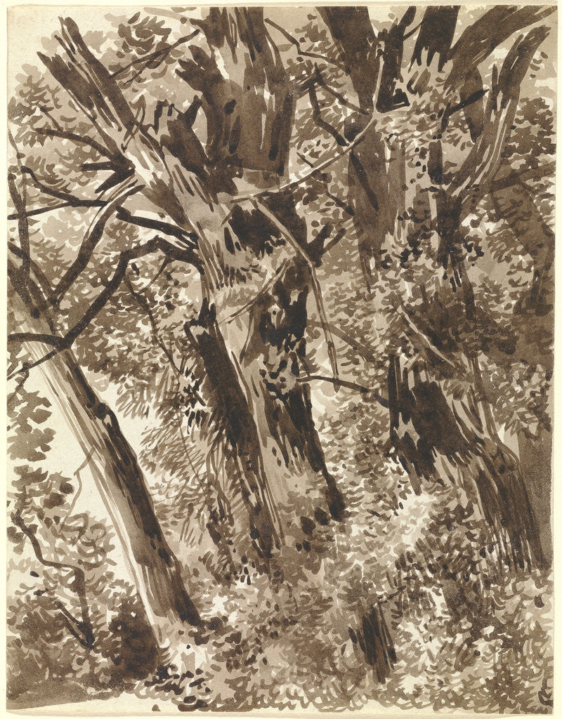 Detail of Trunks and Branches by Franz Innocenz Kobell