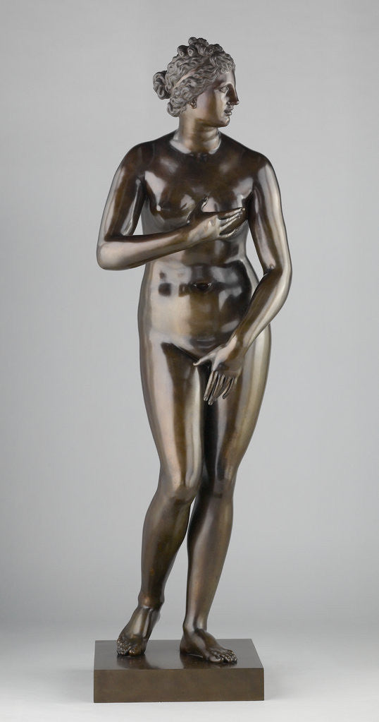 Detail of Medici Venus by Pietro Cipriani