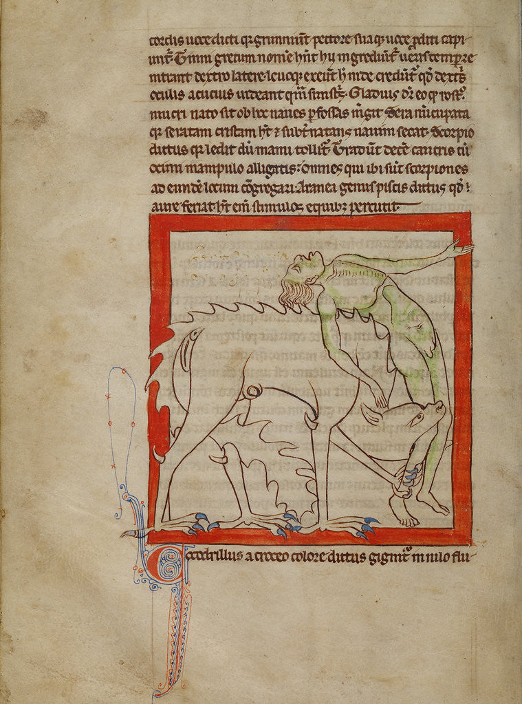 Detail of A Crocodile by Anonymous