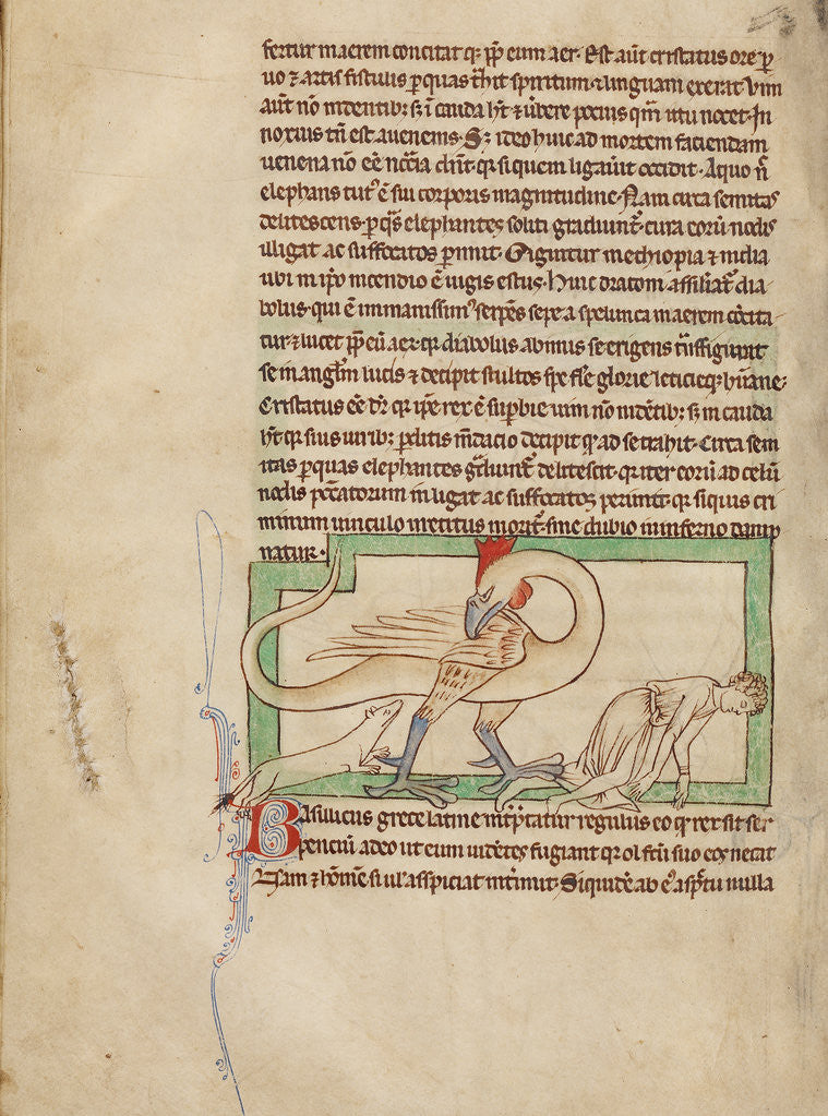 Detail of A Basilisk by Anonymous